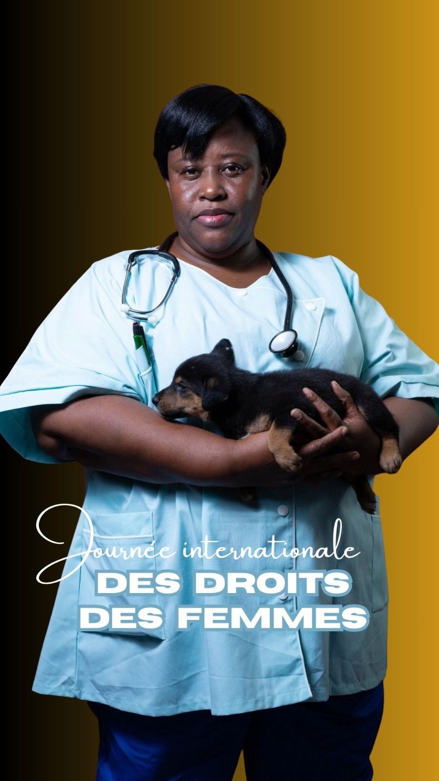 Cabinet vétérinaire Ciel - Accueil